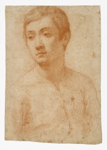 Hlava mládeže, cca 1600-25 (červená křída na položeném papíře) od Domenico Cresti