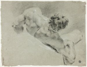 Mužský akt při pohledu zezadu od Domenico Maggiotto