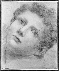  od Domenico Maria Canuti