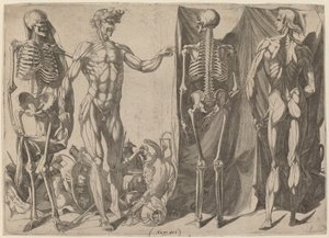 Skeletons and Flayed, c. 1540-1545.