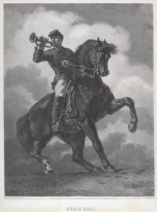 Volání polnice od Dominique C. Fabronius