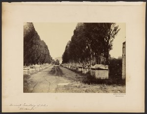[Starověký hřbitov v Arles, "Alyscamps"] od Dominique Roman