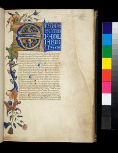 Ms 373. Pseudo-Cicero, Rhetorica ad Herennium a další díla, f.1r. Iluminovaná iniciála [E] a částečný okraj s akantovým listem a květinovou výzdobou, první řádek textu bílými velkými písmeny na modrém podkladu, k.1337 (pergamen)