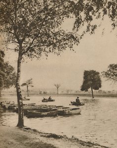 Na Blackheath, Greater Londons Most Historic Common, c1935. od Donald McLeish