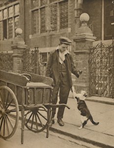 Jeden z nejlépe zavedených obchodů: Zákazník a kočičí masožravec, c1935. od Donald McLeish