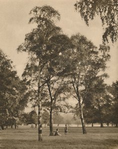 Krajka z listů: Letní ráno v Hyde Parku, c1935. od Donald McLeish