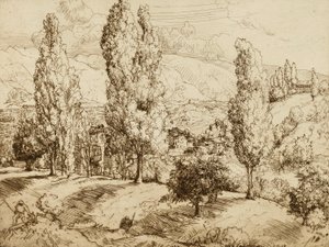Pole Asolo od Donald Shaw MacLaughlan