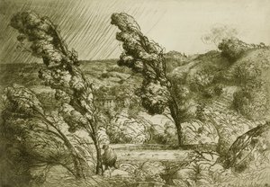 Bouře od Donald Shaw MacLaughlan