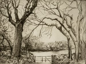 Tragenna Wood od Donald Shaw MacLaughlan