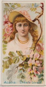 Acacia: Cudná láska, ze série Květinové krásy a řeč květin N75 pro Duk..., 1892.