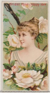 Svatební růže: Šťastná láska, ze série Květinové krásy a řeč květin N75 pro..., 1892.