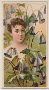 Canterbury Bells: Constancy, ze série Květinové krásy a jazyk květin N75..., 1892. od Donaldson Brothers