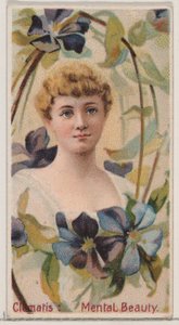 Clematis: Mental Beauty, ze série Květinové krásy a jazyk květin N75 pro..., 1892. od Donaldson Brothers