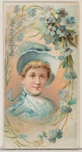Forget-Me-Not, ze série Květinové krásy a řeč květin N75 pro Duke bran..., 1892. od Donaldson Brothers