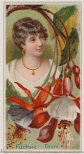 Fuchsia: Taste, ze série Květinové krásy a řeč květin N75 pro Duke bra..., 1892. od Donaldson Brothers