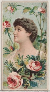 Moss Rose: Vyznání lásky, ze série Květinové krásy a řeč květin N7..., 1892.