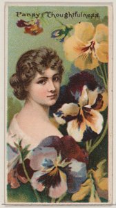 Pansy: Thoughtfulness, ze série Květinové krásy a řeč květin N75 pro D..., 1892. od Donaldson Brothers