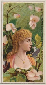 Sweet-Peas: Sbohem zlatíčko!, ze série Květinové krásy a řeč květin ..., 1892.