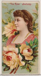 Čajová růže: Žárlivost, ze série Květinové krásy a řeč květin N75 pro vévodu..., 1892. od Donaldson Brothers