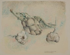 Artyčoky a česnek od Donatella Merlo