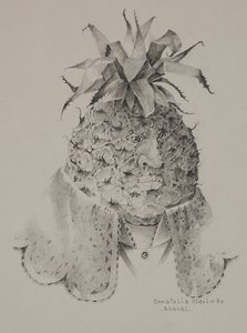 Ananas od Donatella Merlo