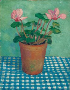 Cyclamen v hrnci (olej na palubě)