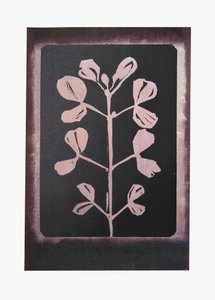 Temná botanická silueta od Doris Schmitz