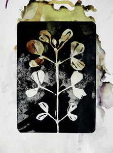 Zemitá botanická forma od Doris Schmitz