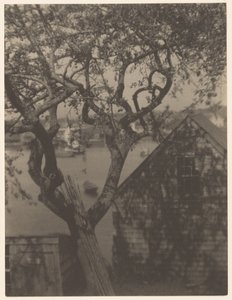 Přístavní scéna, pravděpodobně Gloucester, Massachusetts od Doris Ulmann