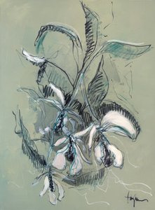 Elegantní skica orchideje