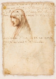 Poprsí-délka profilu staré ženy verso, c. 1521. od Dosso Dossi