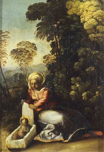 Madonna s dítětem La Zingarella, c. 1513