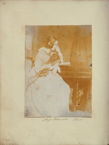Slečno Brewsterová