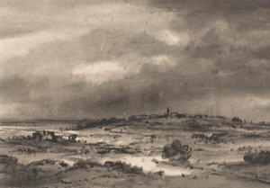 Kompozice: Marshland Landscape