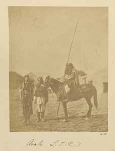 Arabové. L.T.C. od Dr. William Robertson