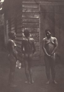 Tři madagaskarské ženy (deska 30),1863 (foto) od Désiré Charnay