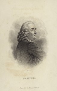 Peter Camper od Dutch School