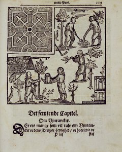 Sázení stromů z knihy The Dutch Gardener od Johanna van der Groena, publikované v roce 1699 od Dutch School