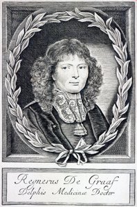 Regnier de Graaf, cca 1670 od Dutch School