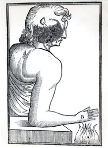 Vnímání smyslů, z De Homine Figuris od René Descartese (1596-1650), vydané v Amsterdamu, 1677 od Dutch School