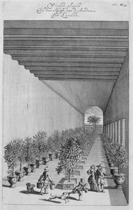The Force-house, z De Nederlandze Hespeides od Jana Commelina, vydáno 1676 od Dutch School