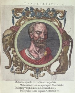Theophrastus (asi 372-287 př.nl), ilustrace ze staré a nedávné fyziky a filozofů od Johannese Sambucuse (1531-84), vydal Plantin v Leydenu 1603 (barevná rytina) od Dutch School
