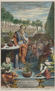 Titulní strana z knihy "Horti Medici Amstelodamensis Rariorum Plantarum Historia", díl II, autor Jan Commelin a Caspar Commelin od Dutch School
