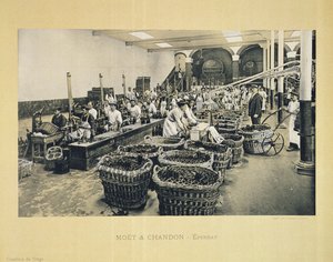 Stáčení šampaňského, z La France Vinicole, vydavatelství Moet & Chandon, Epernay (fotolitho)