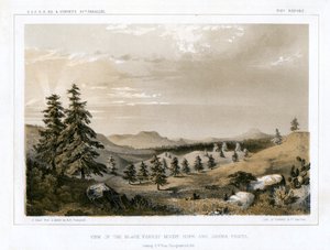 Černý les Mount Hope a Sierra Prieta, USA, 1856. od E Stout