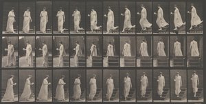 Pohyb zvířat. Elektrofotografické zkoumání... pohybů zvířat. Začátek..., 80. léta 19. století. od Eadweard Muybridge