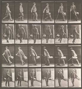 Pohyb zvířat. Elektrofotografické zkoumání... pohybů zvířat. Začátek..., 80. léta 19. století. od Eadweard Muybridge
