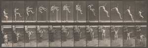 Pohyb zvířat. Elektrofotografické zkoumání po sobě jdoucích fází zvířete ..., 80. léta 19. století. od Eadweard Muybridge