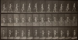 Animal Locomotion, Plate 174, 1887. od Eadweard Muybridge