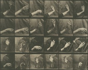 Animal Locomotion, Plate 535, 1887. od Eadweard Muybridge